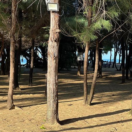 โรงแรมโอมีสา บีช คัลพิทิยา ภายนอก รูปภาพ