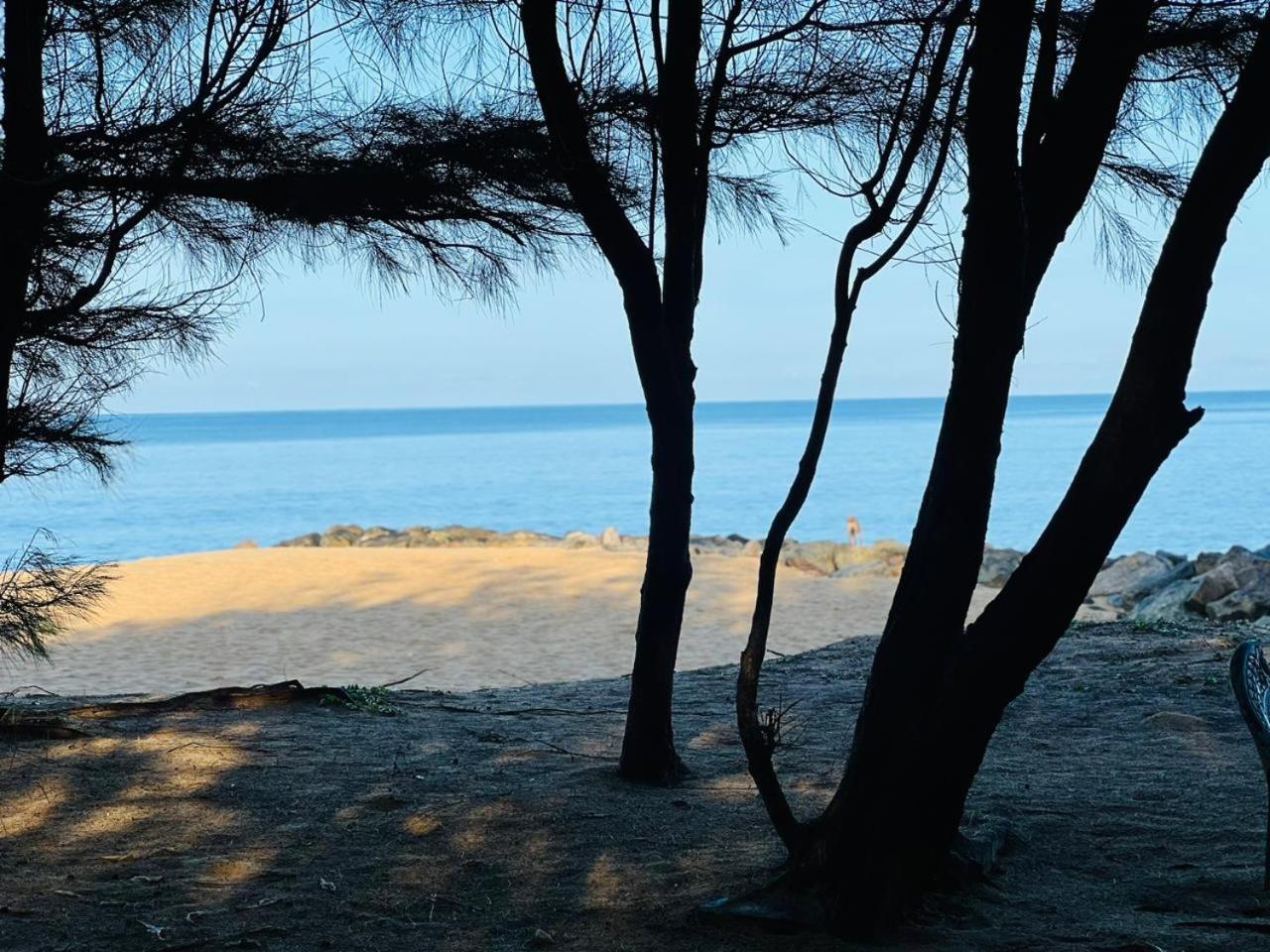 โรงแรมโอมีสา บีช คัลพิทิยา ภายนอก รูปภาพ